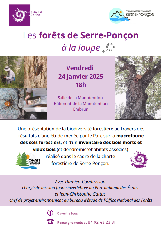 Forêts de Serre-Ponçon à la loupe