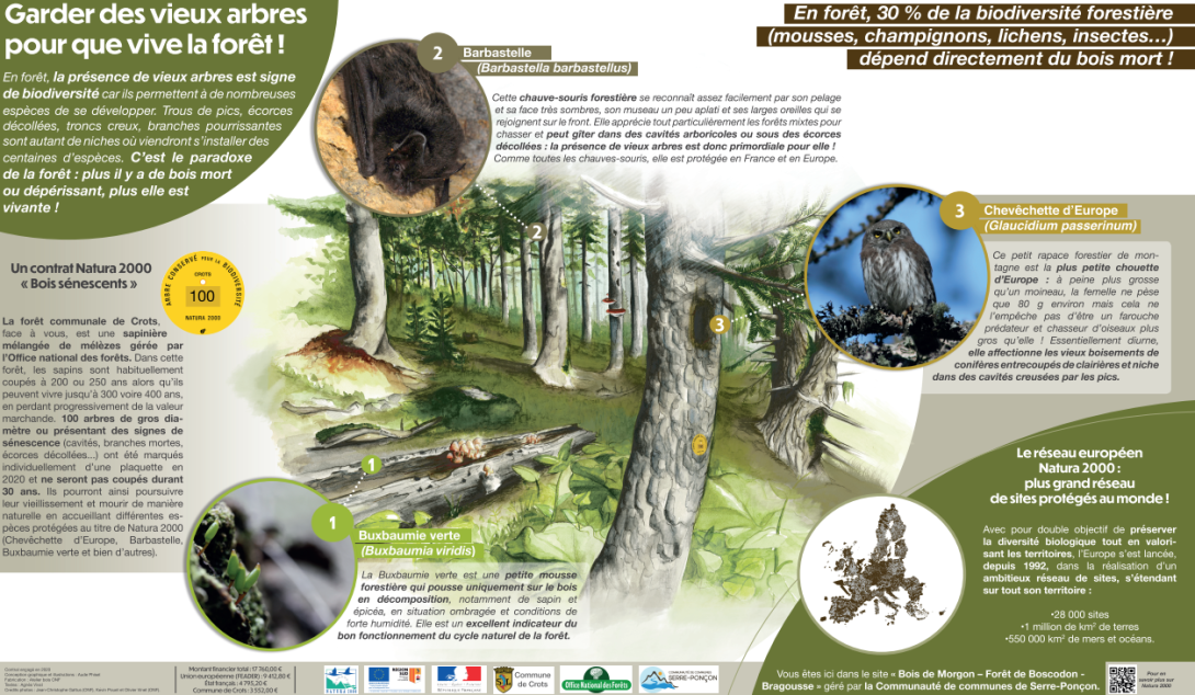 Panneau CN2000 BS Crots