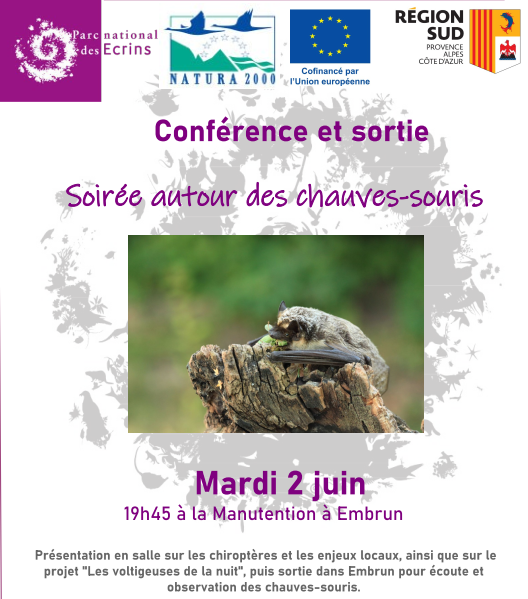 Soirée chauves-souris 2 mai 2026 Embrun